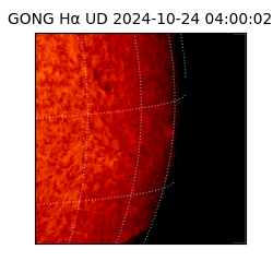 gong - 2024-10-24T04:00:02