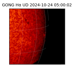 gong - 2024-10-24T05:00:02