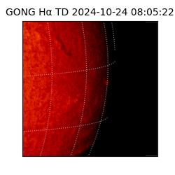 gong - 2024-10-24T08:05:22