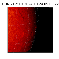 gong - 2024-10-24T09:00:22