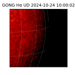 gong - 2024-10-24T10:00:02