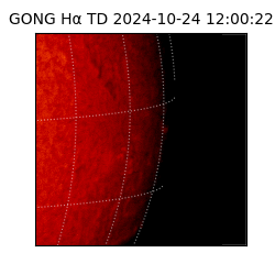 gong - 2024-10-24T12:00:22