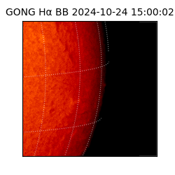 gong - 2024-10-24T15:00:02