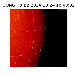 gong - 2024-10-24T16:00:02