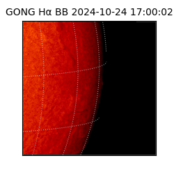 gong - 2024-10-24T17:00:02