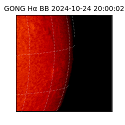 gong - 2024-10-24T20:00:02