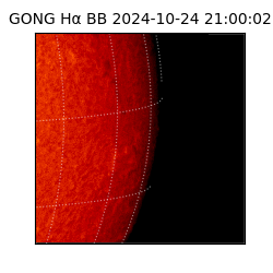 gong - 2024-10-24T21:00:02