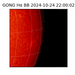 gong - 2024-10-24T22:00:02