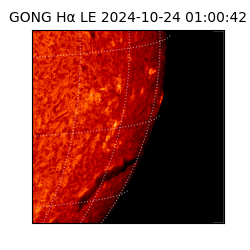 gong - 2024-10-24T01:00:42