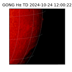 gong - 2024-10-24T12:00:22