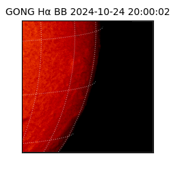 gong - 2024-10-24T20:00:02