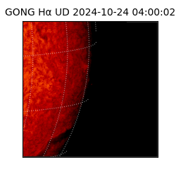 gong - 2024-10-24T04:00:02