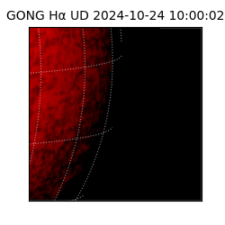 gong - 2024-10-24T10:00:02