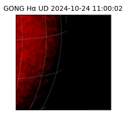 gong - 2024-10-24T11:00:02