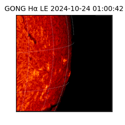 gong - 2024-10-24T01:00:42