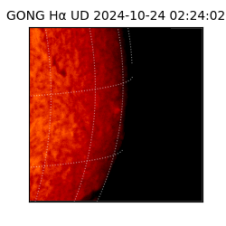 gong - 2024-10-24T02:24:02