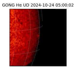 gong - 2024-10-24T05:00:02