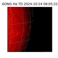 gong - 2024-10-24T08:05:22