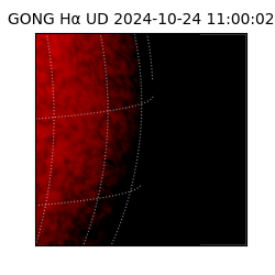 gong - 2024-10-24T11:00:02