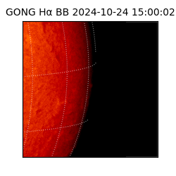 gong - 2024-10-24T15:00:02