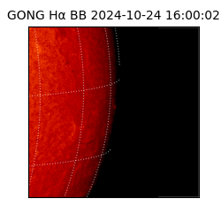 gong - 2024-10-24T16:00:02