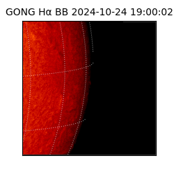 gong - 2024-10-24T19:00:02