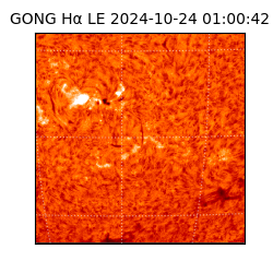 gong - 2024-10-24T01:00:42