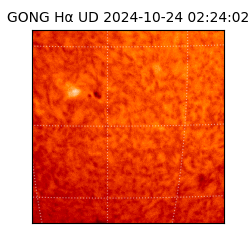 gong - 2024-10-24T02:24:02