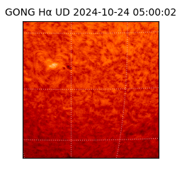 gong - 2024-10-24T05:00:02