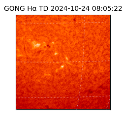 gong - 2024-10-24T08:05:22