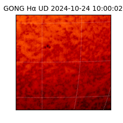 gong - 2024-10-24T10:00:02