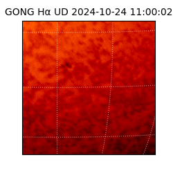 gong - 2024-10-24T11:00:02