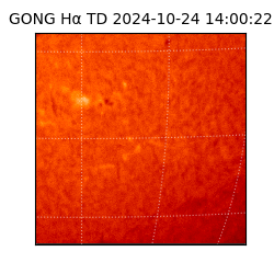 gong - 2024-10-24T14:00:22