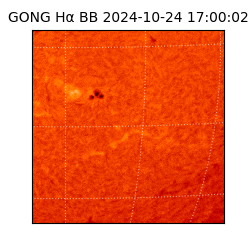 gong - 2024-10-24T17:00:02