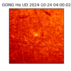 gong - 2024-10-24T04:00:02