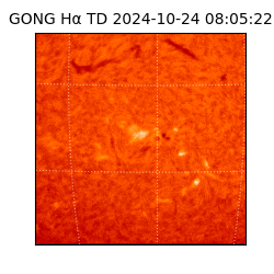 gong - 2024-10-24T08:05:22