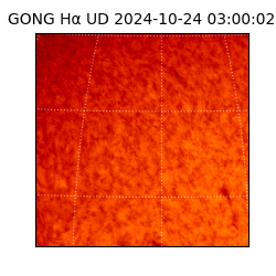 gong - 2024-10-24T03:00:02