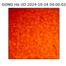 gong - 2024-10-24T04:00:02