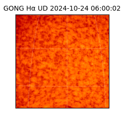 gong - 2024-10-24T06:00:02