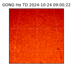 gong - 2024-10-24T09:00:22