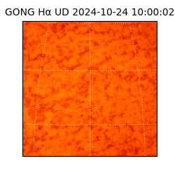 gong - 2024-10-24T10:00:02