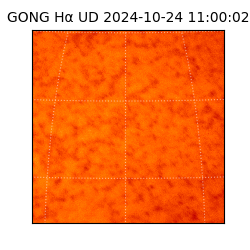 gong - 2024-10-24T11:00:02