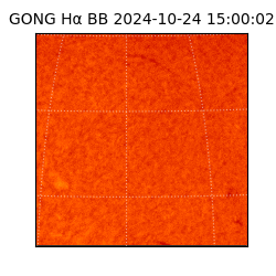 gong - 2024-10-24T15:00:02