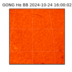 gong - 2024-10-24T16:00:02