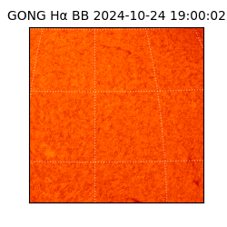 gong - 2024-10-24T19:00:02