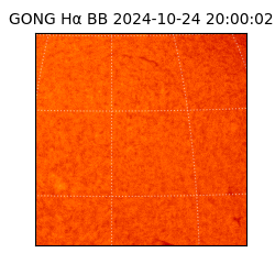 gong - 2024-10-24T20:00:02