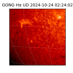 gong - 2024-10-24T02:24:02