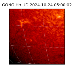 gong - 2024-10-24T05:00:02