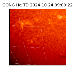 gong - 2024-10-24T09:00:22