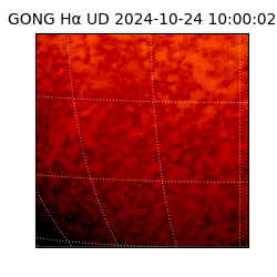 gong - 2024-10-24T10:00:02